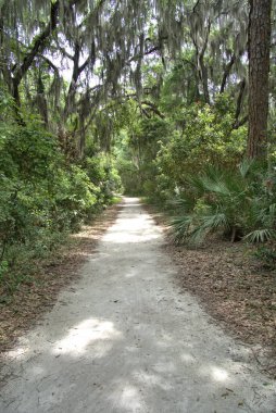 Sinagua halkı M.S. 650 civarında Arizona 'ya geldi. Yaban bitkileri ve hayvanlarla beslenen çiftçi insanlardı.