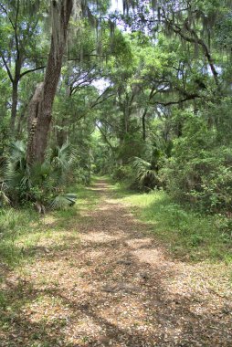 Sinagua halkı M.S. 650 civarında Arizona 'ya geldi. Yaban bitkileri ve hayvanlarla beslenen çiftçi insanlardı.