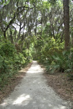 Sinagua halkı M.S. 650 civarında Arizona 'ya geldi. Yaban bitkileri ve hayvanlarla beslenen çiftçi insanlardı.