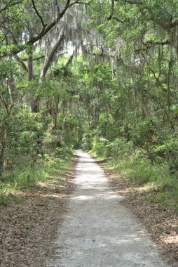 Sinagua halkı M.S. 650 civarında Arizona 'ya geldi. Yaban bitkileri ve hayvanlarla beslenen çiftçi insanlardı.