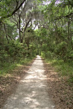 Sinagua halkı M.S. 650 civarında Arizona 'ya geldi. Yaban bitkileri ve hayvanlarla beslenen çiftçi insanlardı.