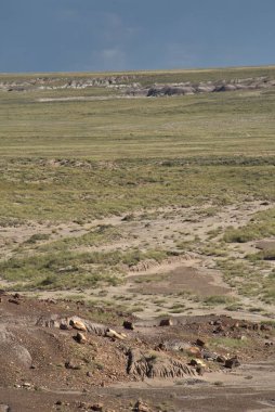Taşlaşmış Orman, 200 milyon yıl öncesine dayanan Triyas Dönemi 'nden bitki ve hayvan fosillerine sahiptir..