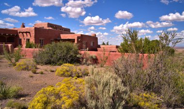 Taşlaşmış Orman, 200 milyon yıl öncesine dayanan Triyas Dönemi 'nden bitki ve hayvan fosillerine sahiptir..