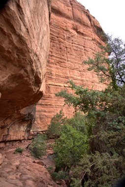 Sinagua halkı M.S. 650 civarında Arizona 'ya geldi. Yaban bitkileri ve hayvanlarla beslenen çiftçi insanlardı.