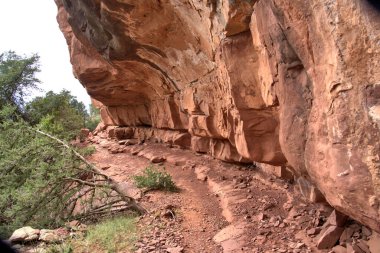 Sinagua halkı M.S. 650 civarında Arizona 'ya geldi. Yaban bitkileri ve hayvanlarla beslenen çiftçi insanlardı.