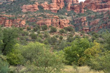 Sinagua halkı M.S. 650 civarında Arizona 'ya geldi. Yaban bitkileri ve hayvanlarla beslenen çiftçi insanlardı.