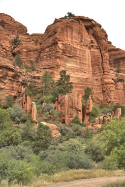 Sinagua halkı M.S. 650 civarında Arizona 'ya geldi. Yaban bitkileri ve hayvanlarla beslenen çiftçi insanlardı.