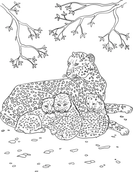Kleurplaten Voor Kinderen Cheeta Dieren — Stockvector