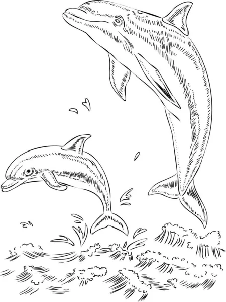 Boyama kitabı yunus ve bebek, deniz hayvanları