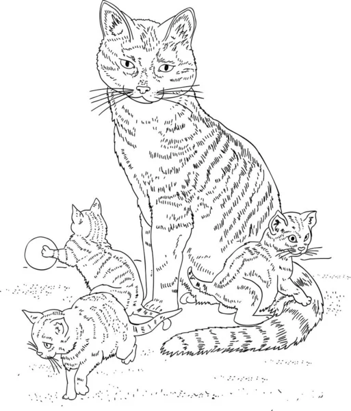 Niños para colorear libro gato con gatitos vector — Vector de stock