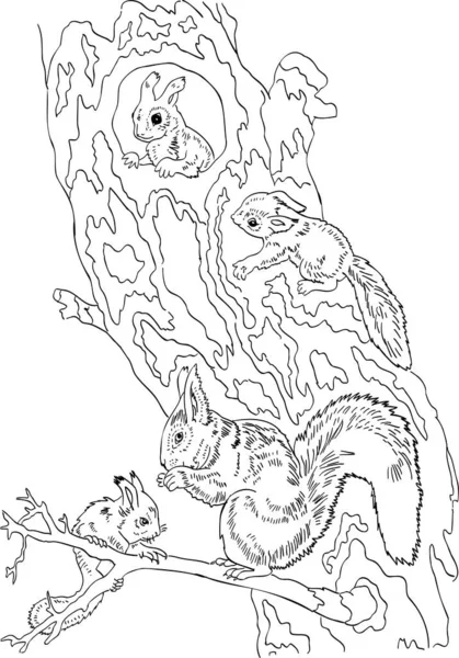 Libro da colorare per bambini scoiattolo e bambino scoiattoli vettore — Vettoriale Stock