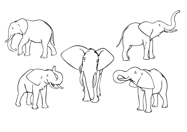 Éléphants — Image vectorielle