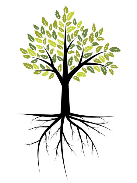 Иллюстрация деревьев