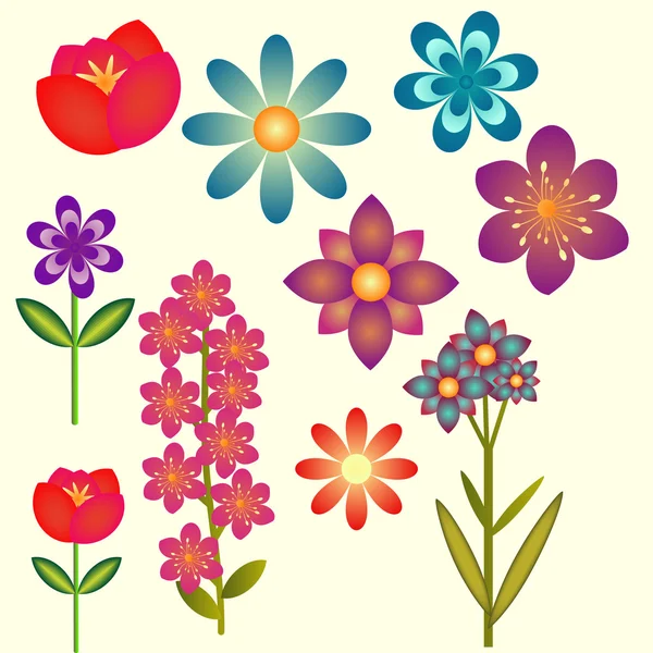 คอลเลกชันดอกไม้ — ภาพเวกเตอร์สต็อก