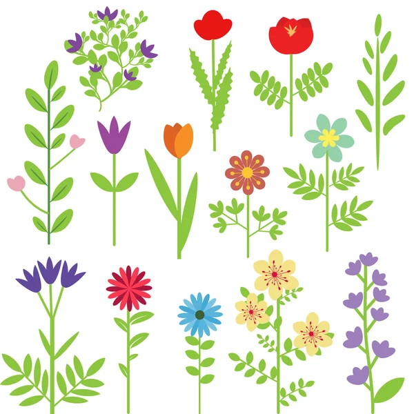 Set de flores — Vector de stock