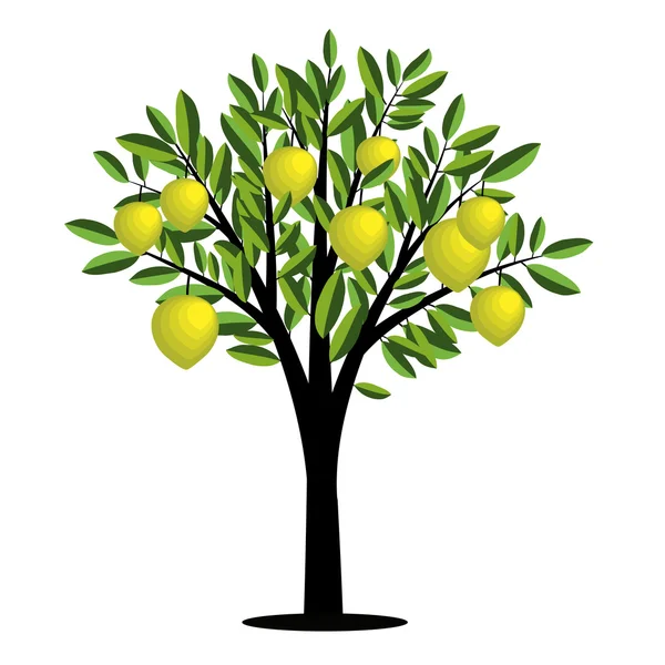 Zitronenbaum — Stockvektor