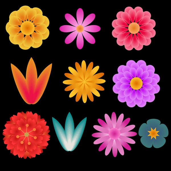 Set de flores — Archivo Imágenes Vectoriales