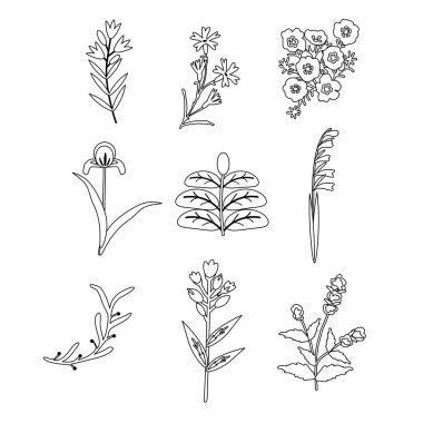 Ayrı çiçek vektör ögeleri ayarlandı