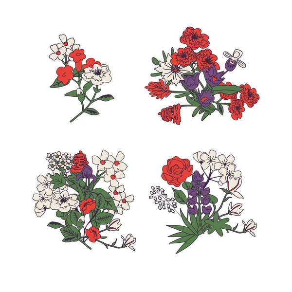 Isolated Floral Decorative Simple Bunches — Stockvector