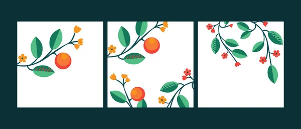 Drie Vectorachtergronden Met Fruit Bloemen — Stockvector