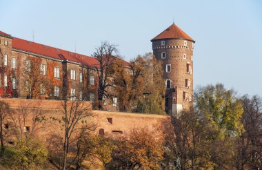 Wawel Kalesi sonbahar, krakow, Polonya