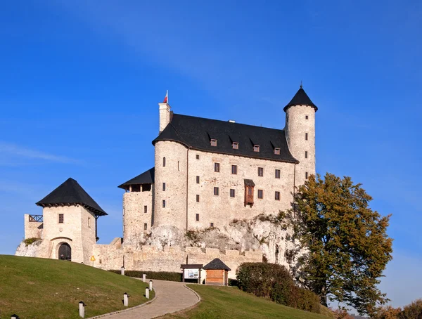 Бобольский замок в Польше — стоковое фото