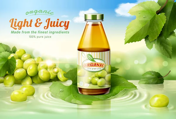 新鲜和有机的白果汁广告模板 3D玻璃瓶展示在水面上方漂浮的绿色藤叶上 — 图库矢量图片