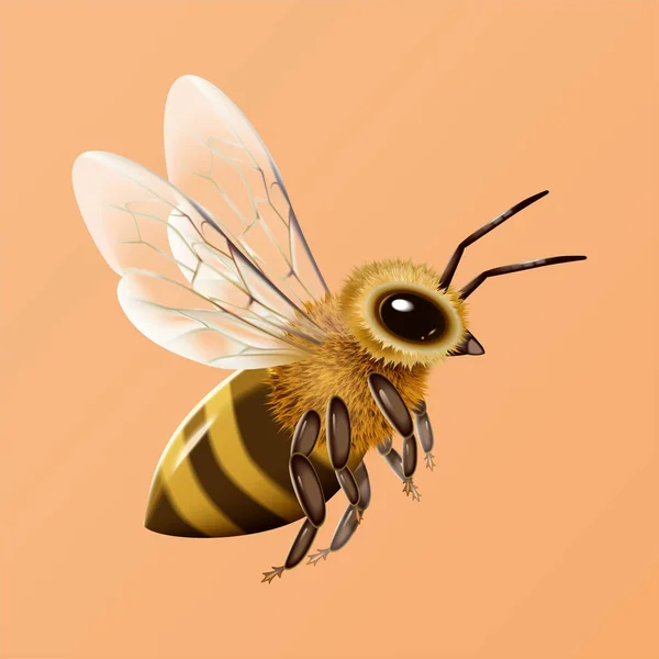 Illustration Flying Honey Bee Isolated Light Orange Background — Stock Vector
