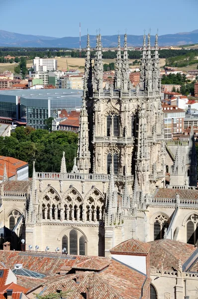 Kathedrale von Burgos — Stockfoto