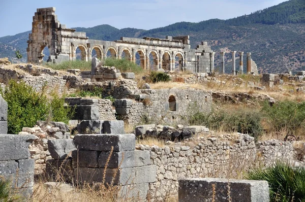 Volubilis Capitol — Stock Photo, Image