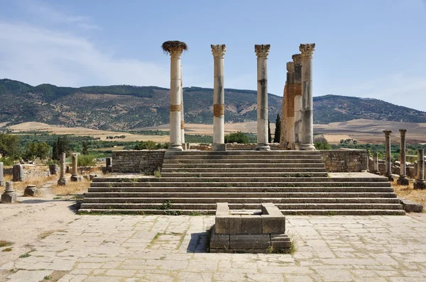 Volubilis Capitol — Stock Photo, Image