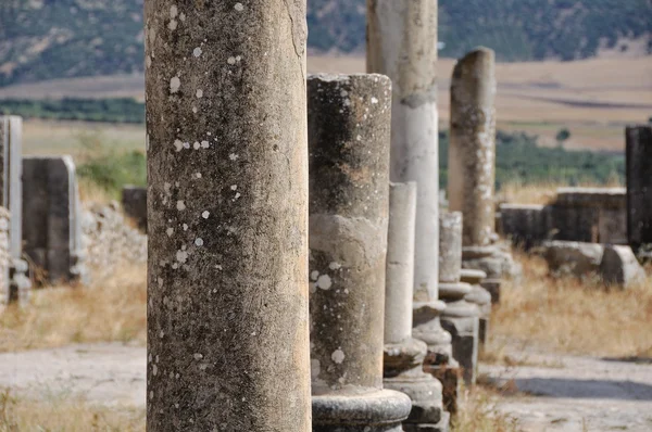 Columns of Volubilis Capitol — Stock Photo, Image