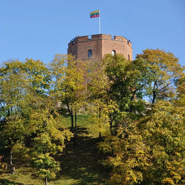 Castello di Gediminas a Vilnius — Foto Stock