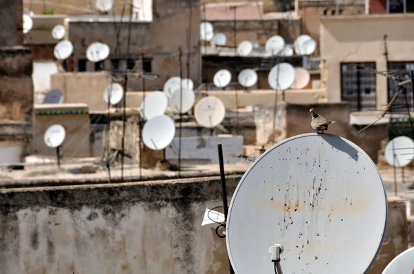 View of Fez medina (Old town of Fes) Stock Image