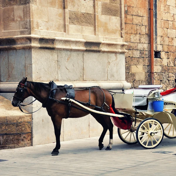Harnessed Horse Carriage — Stock Photo, Image