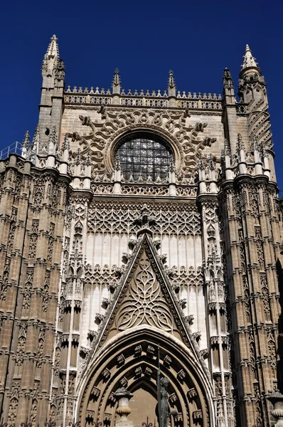 Rose of Cathedral of Seville, Spain — Stock Photo, Image