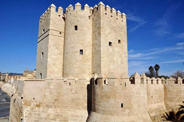 Calahorra tornet i cordoba, Spanien — Stockfoto