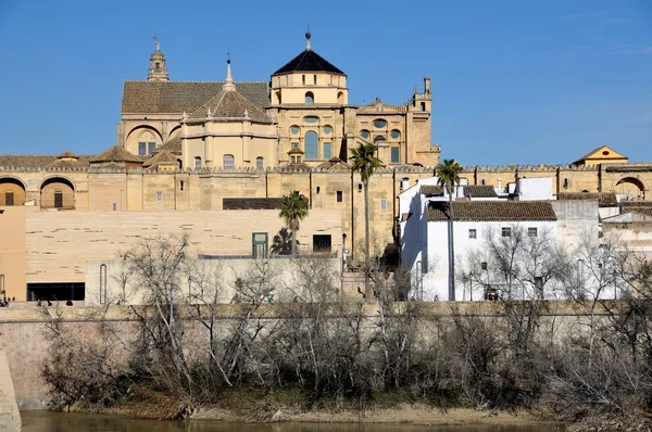 Kathedraal van cordoba, Spanje. — Stockfoto