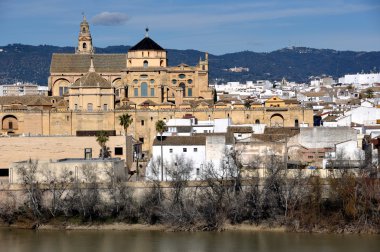 Katedral Cordoba, İspanya.