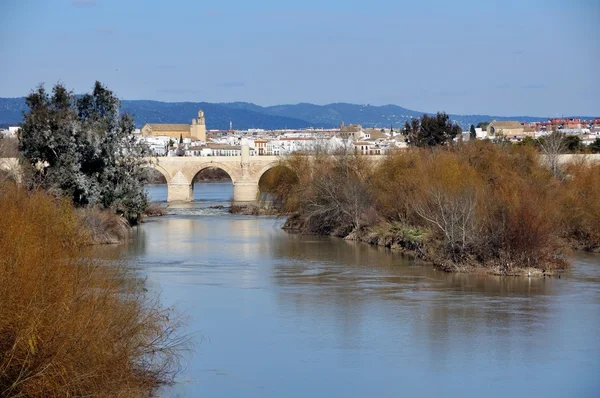 Puente en Córdoba, España . —  Fotos de Stock