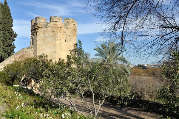 Torn i cordoba, Spanien. — Stockfoto