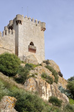 Kale almodovar del rio isimli andalusia, İspanya