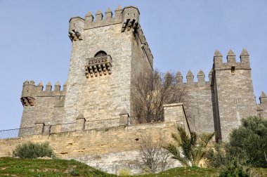 Kale almodovar del rio isimli andalusia, İspanya