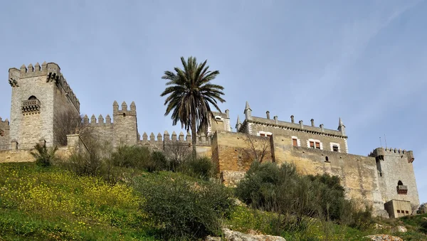 Slottet av Almodóvar del Río, Andalusien, Spanien — Stockfoto