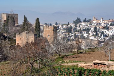 Granada 'daki Alhambra Sarayı