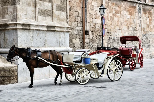 Chariot à cheval, Majorque — Photo