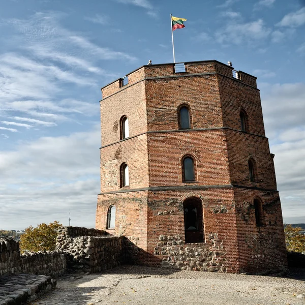 Castelo de gediminas em vilnius — Fotografia de Stock