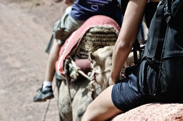 Vue rapprochée d'une fille chevauchant un chameau — Photo