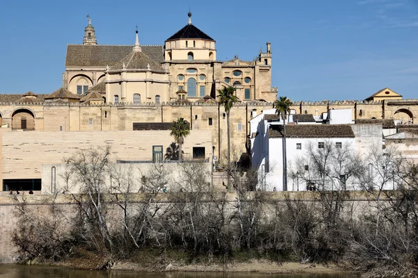 Cattedrale di Cordoba, Spagna . — Foto Stock