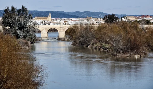 Puente en Córdoba, España . —  Fotos de Stock